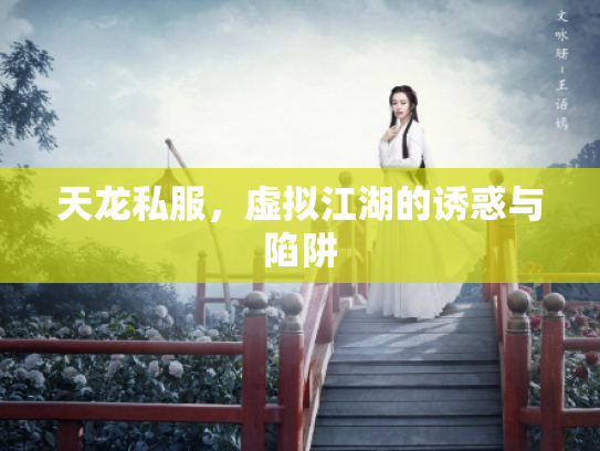 天龙私服，虚拟江湖的诱惑与陷阱