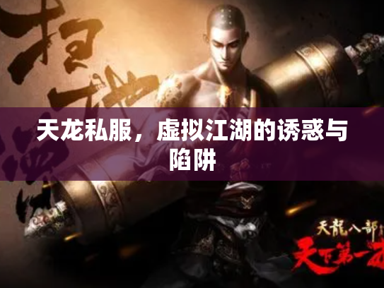 天龙私服，虚拟江湖的诱惑与陷阱