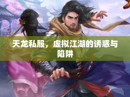 天龙私服，虚拟江湖的诱惑与陷阱