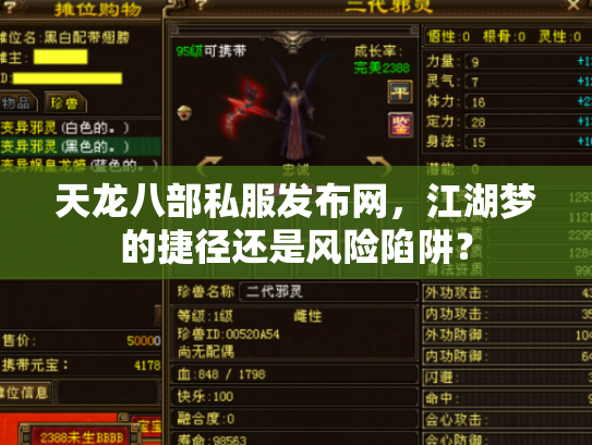 天龙八部私服发布网，江湖梦的捷径还是风险陷阱？