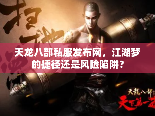 天龙八部私服发布网，江湖梦的捷径还是风险陷阱？