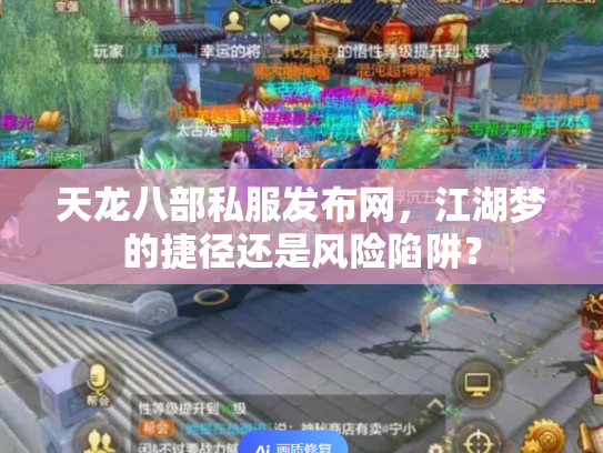 天龙八部私服发布网，江湖梦的捷径还是风险陷阱？