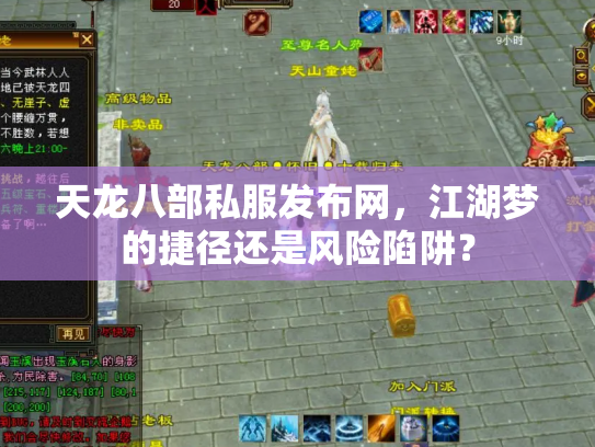 天龙八部私服发布网，江湖梦的捷径还是风险陷阱？