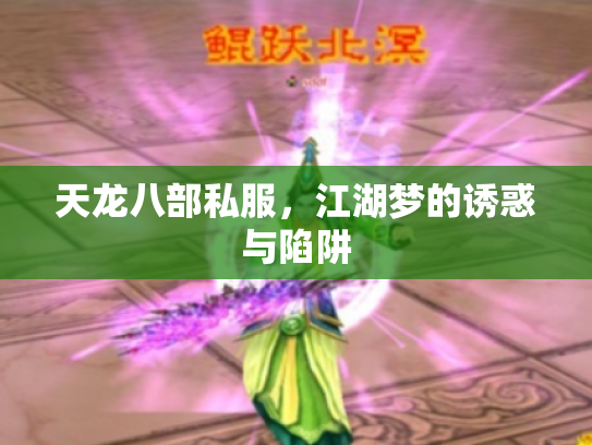 天龙八部私服，江湖梦的诱惑与陷阱