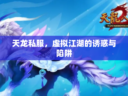 天龙私服，虚拟江湖的诱惑与陷阱