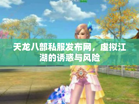 天龙八部私服发布网，虚拟江湖的诱惑与风险