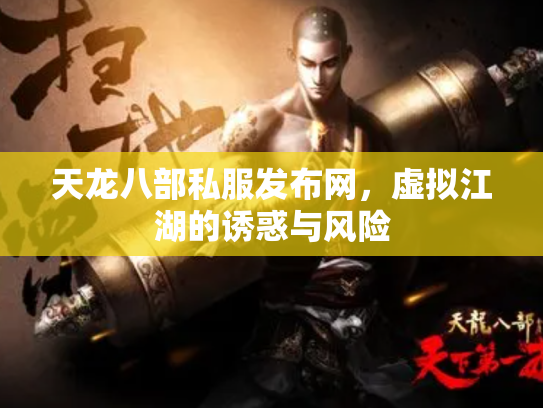 天龙八部私服发布网，虚拟江湖的诱惑与风险