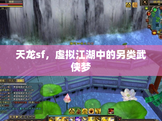天龙sf，虚拟江湖中的另类武侠梦