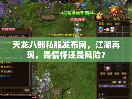 天龙八部私服发布网，江湖再现，是情怀还是风险？