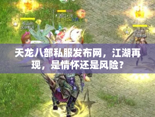 天龙八部私服发布网，江湖再现，是情怀还是风险？