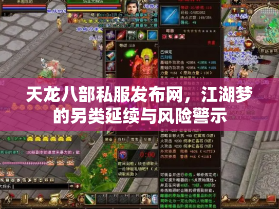 天龙八部私服发布网，江湖梦的另类延续与风险警示