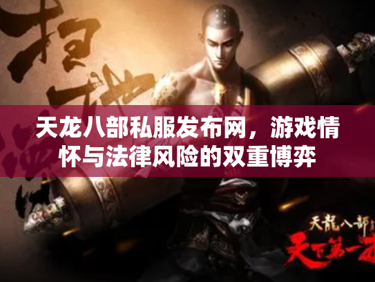 天龙八部私服发布网，游戏情怀与法律风险的双重博弈