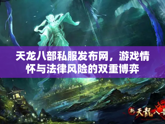天龙八部私服发布网，游戏情怀与法律风险的双重博弈