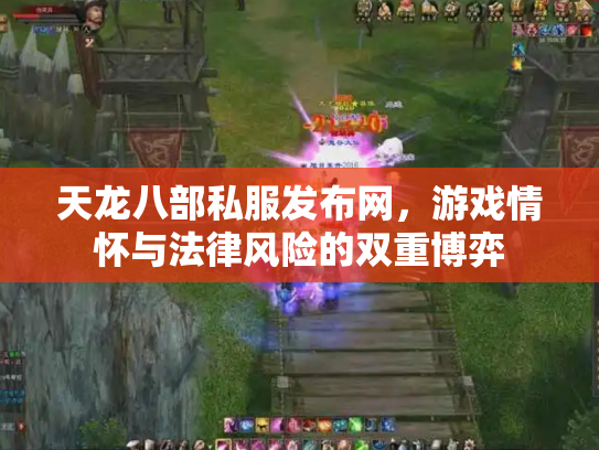 天龙八部私服发布网，游戏情怀与法律风险的双重博弈