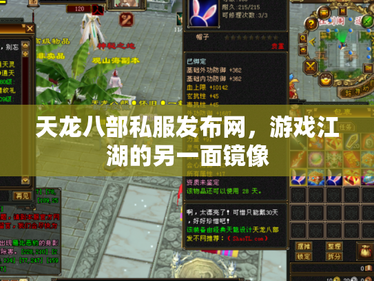 天龙八部私服发布网，游戏江湖的另一面镜像