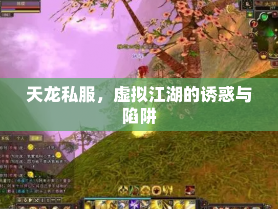 天龙私服，虚拟江湖的诱惑与陷阱