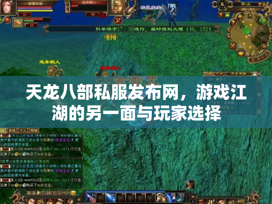 天龙八部私服发布网，游戏江湖的另一面与玩家选择