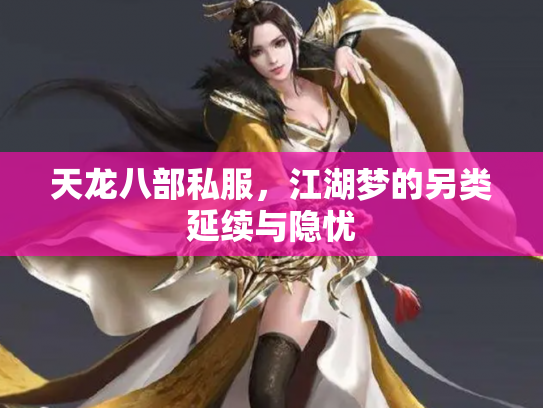天龙八部私服，江湖梦的另类延续与隐忧