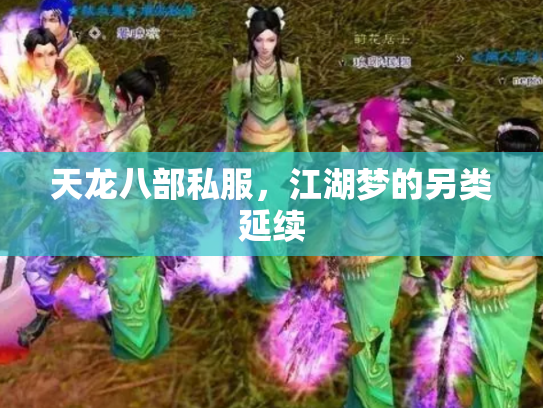 天龙八部私服，江湖梦的另类延续