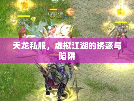 天龙私服，虚拟江湖的诱惑与陷阱