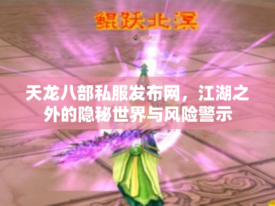 天龙八部私服发布网，江湖之外的隐秘世界与风险警示
