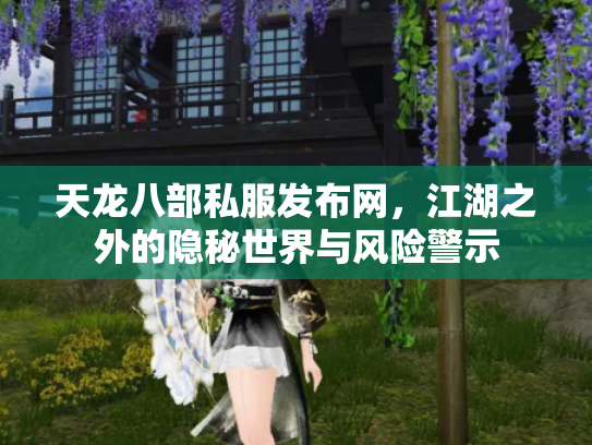 天龙八部私服发布网，江湖之外的隐秘世界与风险警示