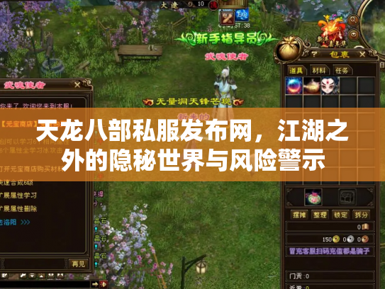 天龙八部私服发布网，江湖之外的隐秘世界与风险警示