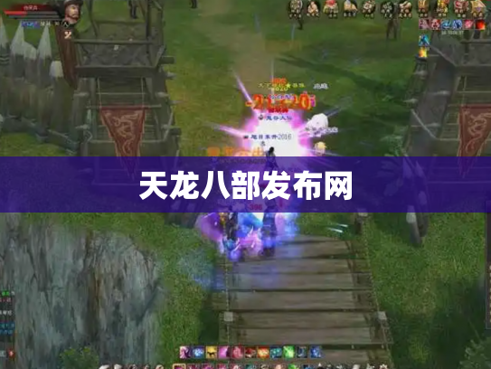 天龙八部发布网
