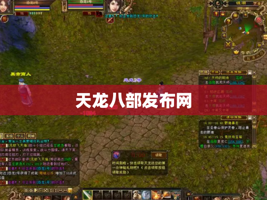 天龙八部发布网
