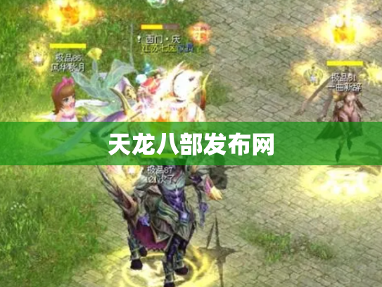 天龙八部发布网