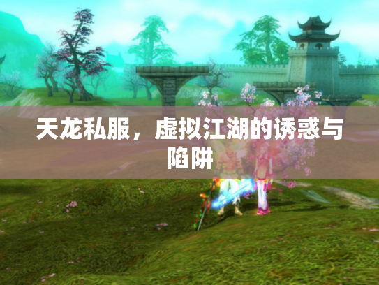 天龙私服，虚拟江湖的诱惑与陷阱