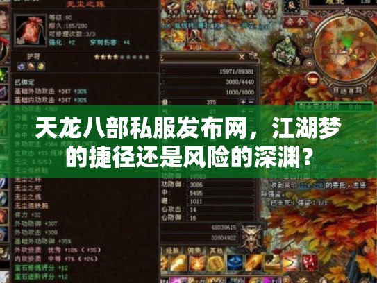 天龙八部私服发布网，江湖梦的捷径还是风险的深渊？
