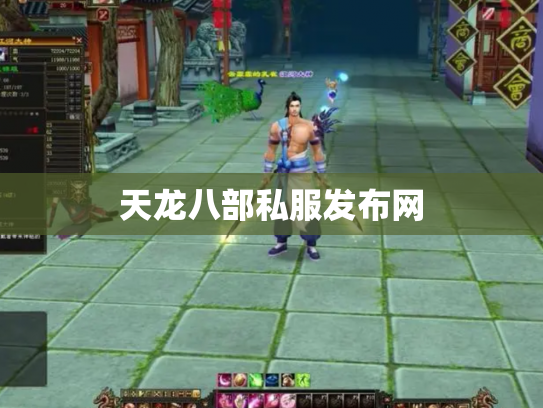 天龙八部私服发布网
