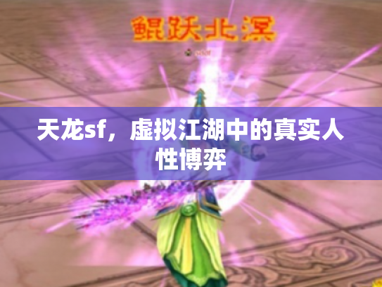 天龙sf，虚拟江湖中的真实人性博弈