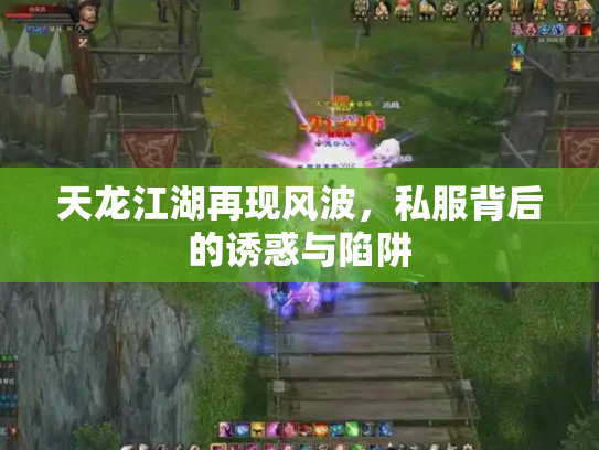 天龙江湖再现风波，私服背后的诱惑与陷阱