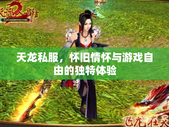 天龙私服，怀旧情怀与游戏自由的独特体验