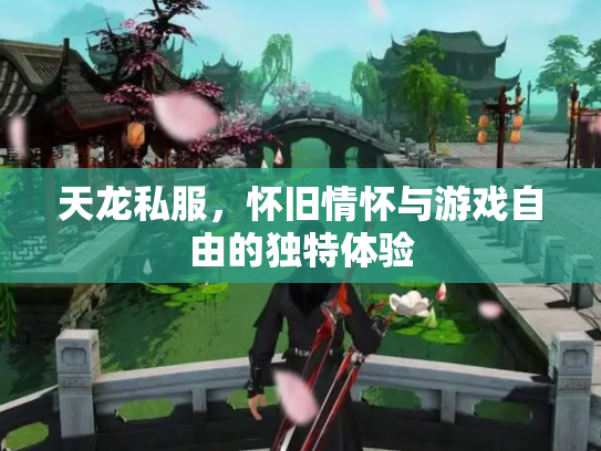 天龙私服，怀旧情怀与游戏自由的独特体验