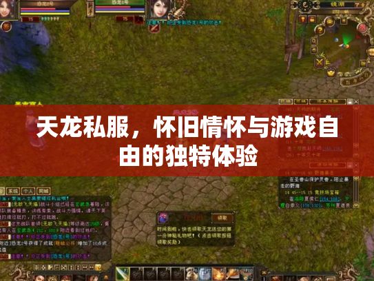 天龙私服，怀旧情怀与游戏自由的独特体验