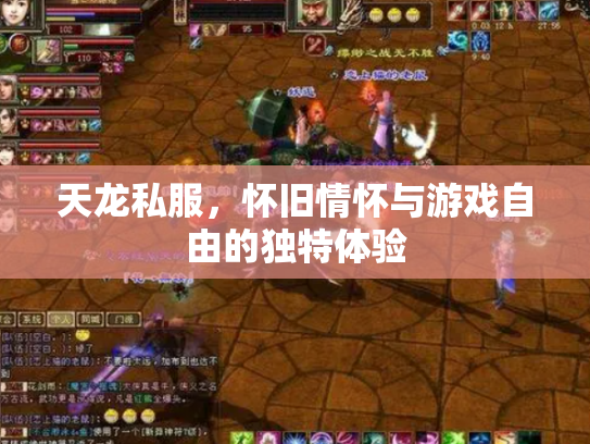 天龙私服，怀旧情怀与游戏自由的独特体验