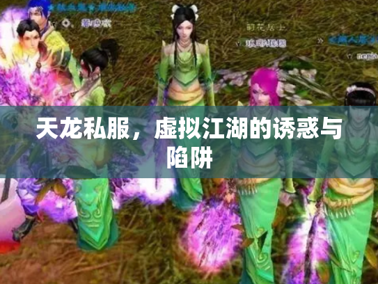 天龙私服，虚拟江湖的诱惑与陷阱