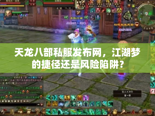 天龙八部私服发布网，江湖梦的捷径还是风险陷阱？