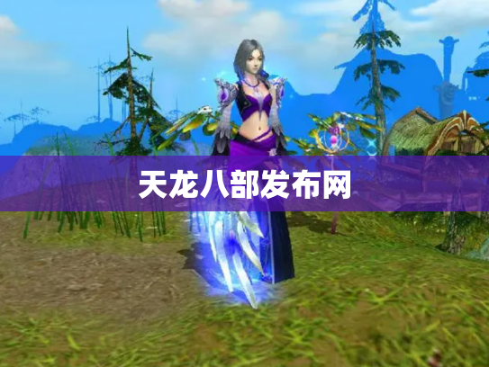 天龙八部发布网