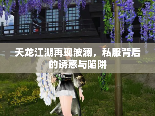 天龙江湖再现波澜，私服背后的诱惑与陷阱