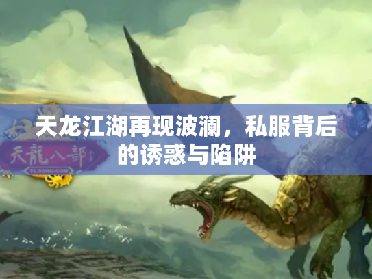 天龙江湖再现波澜，私服背后的诱惑与陷阱