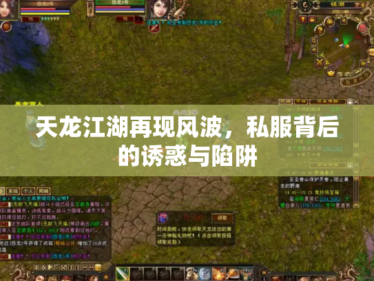 天龙江湖再现风波，私服背后的诱惑与陷阱