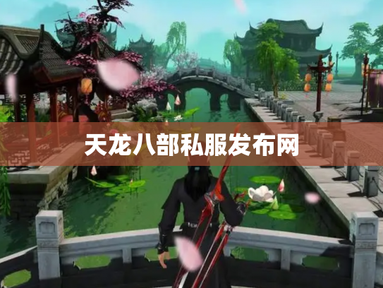 天龙八部私服发布网