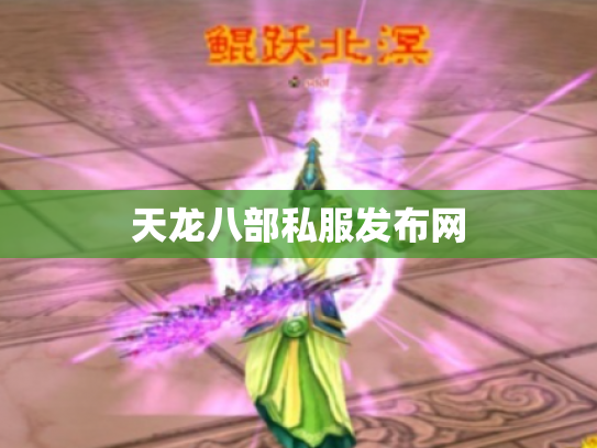 天龙八部私服发布网