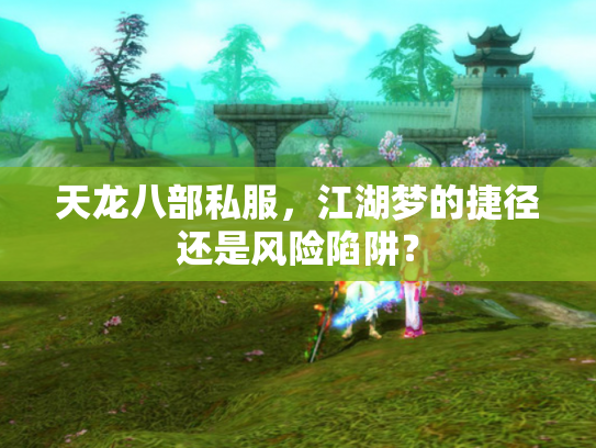 天龙八部私服，江湖梦的捷径还是风险陷阱？