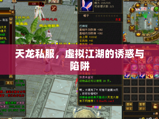 天龙私服，虚拟江湖的诱惑与陷阱