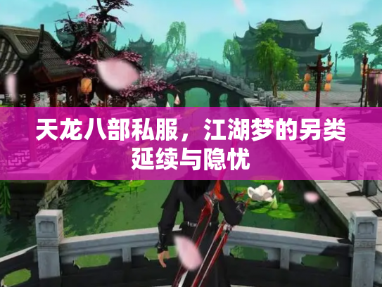 天龙八部私服，江湖梦的另类延续与隐忧